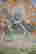 item-124056012=1