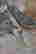 item-124056012=8