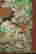 item-124056055=8