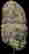 item-124056079=6