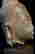 item-124056119=6