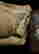 item-124056119=8