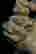 item-124056145=13