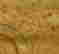 item-124056168=4