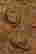 item-124056193=7
