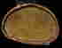 item-124056310=9