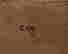 item-124056346=13