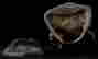 item-124056403=18