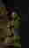 item-124056517=9