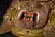 item-124056537=2