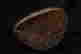 item-124056542=18