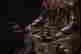 item-124056542=9