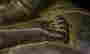 item-124056544=13