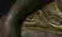item-124056544=15