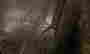 item-124056544=16
