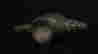 item-124056551=3