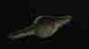 item-124056551=4