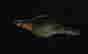 item-124056551=6