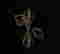 item-124056559=6