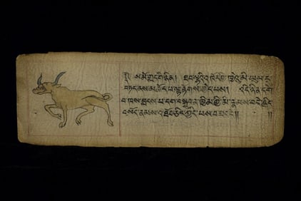 Very Rare Set 16 Antique Illustrated Tibetan Manuscript Pages-Superb!