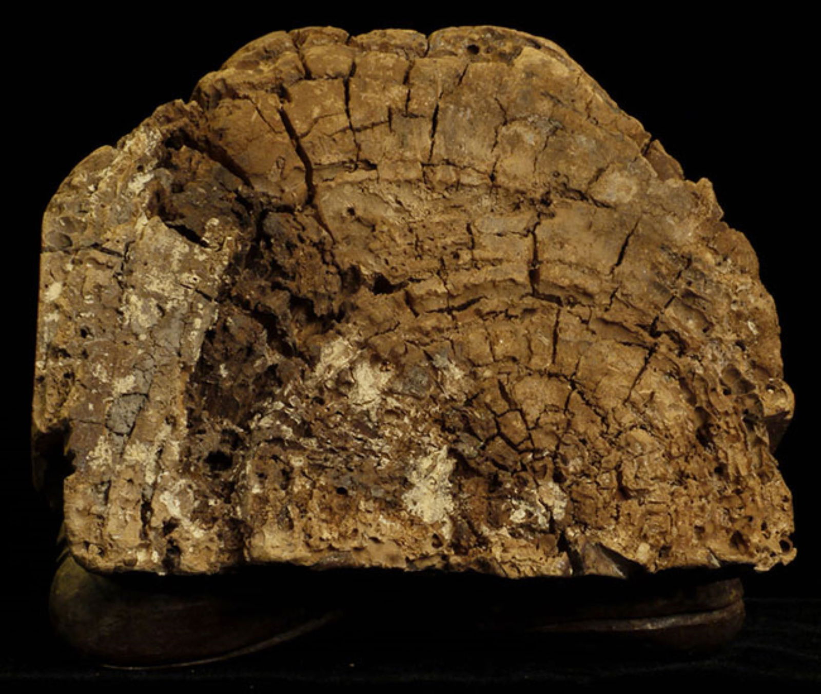 Delightful Ching Quanyin. - 7