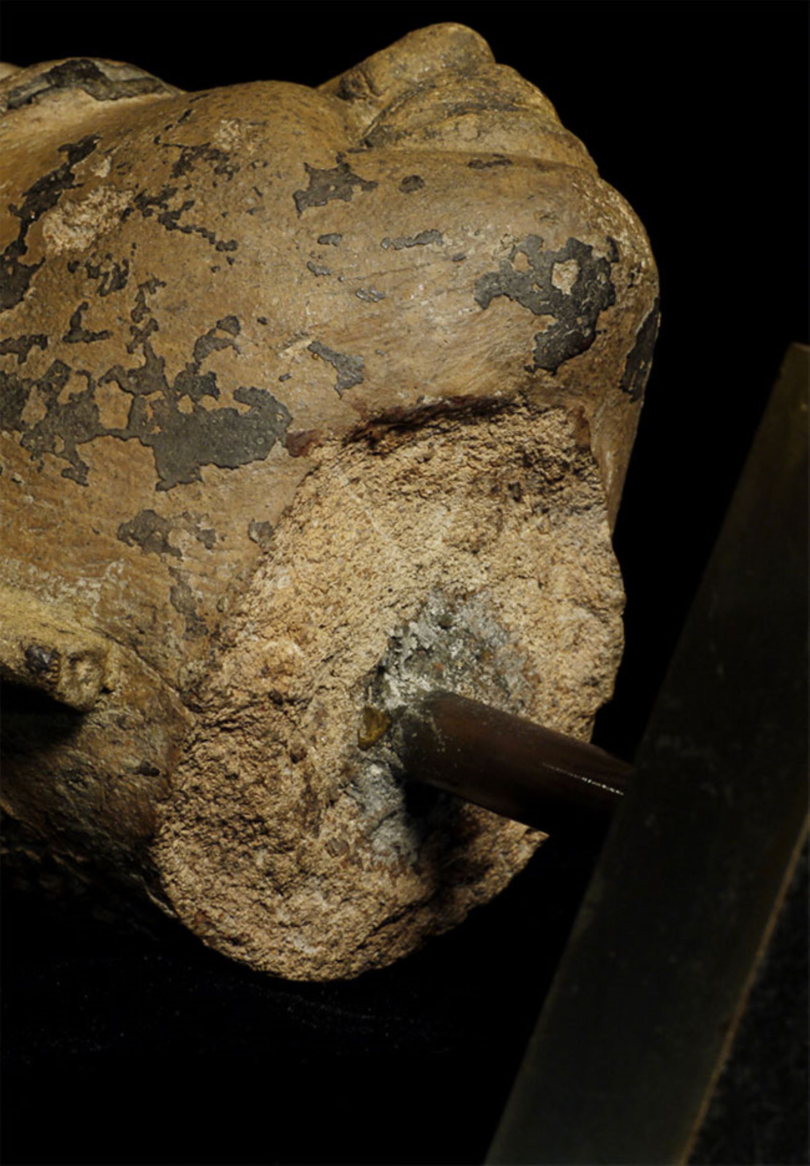 12/13thC Pagan Buddha Head sculpted in Clay/Stucco/Teracotta- Distinctive. - 9