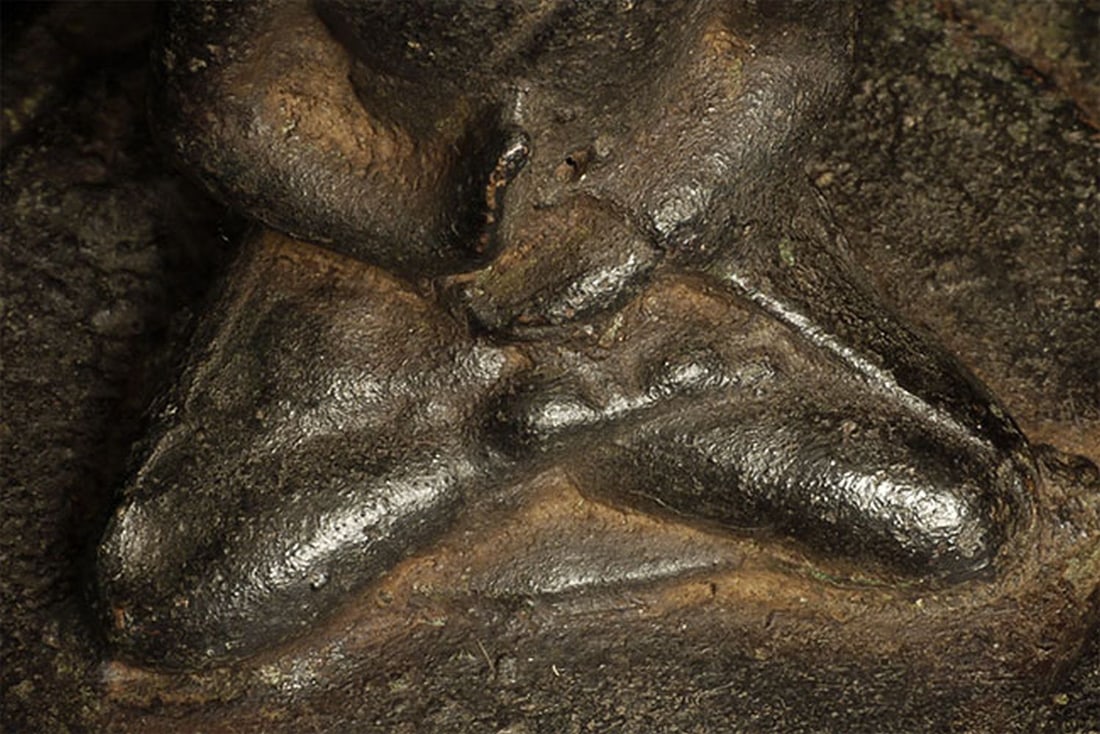 Mystery Buddha. - 10