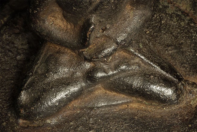 Mystery Buddha. - 12