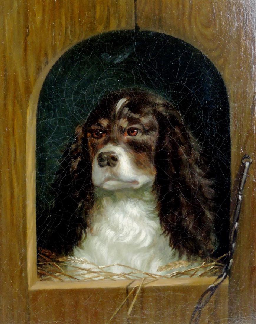 Spaniel in the Doghouse (1 of 3)