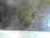 item-58781153=3