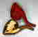 item-122515629=2