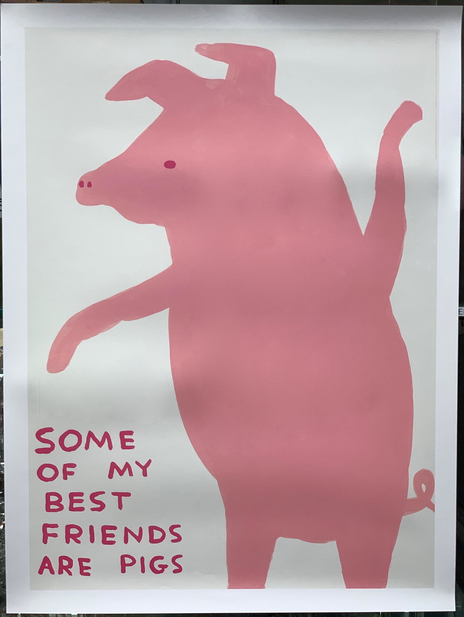 David Shrigley Some Of My Best Friends Are Pigs (1 of 1)