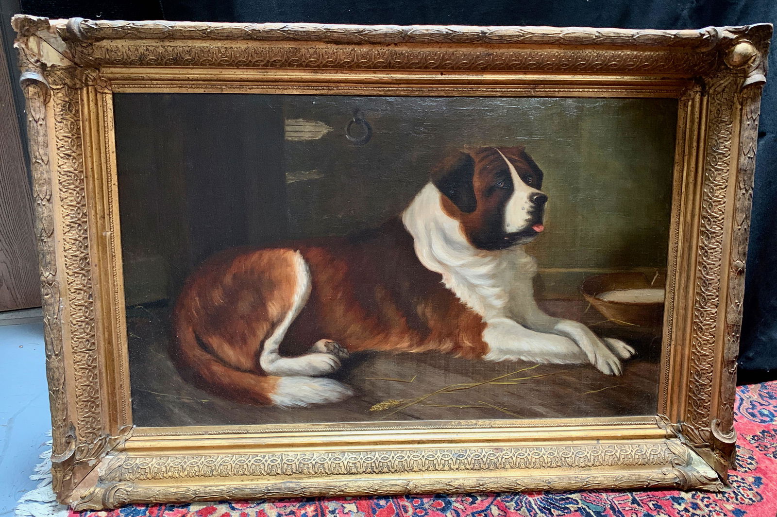 Large St. Bernard Dog Oil on Canvas C. 1900 (1 of 3)