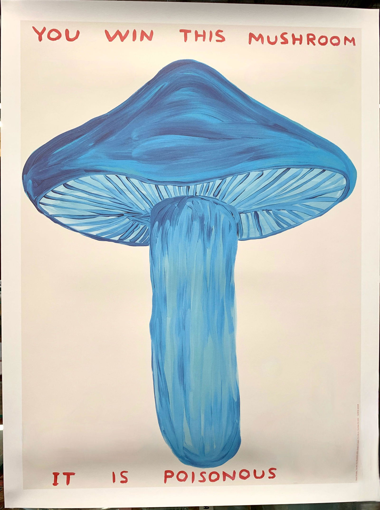 David Shrigley "You Win This Mushroom" (1 of 1)