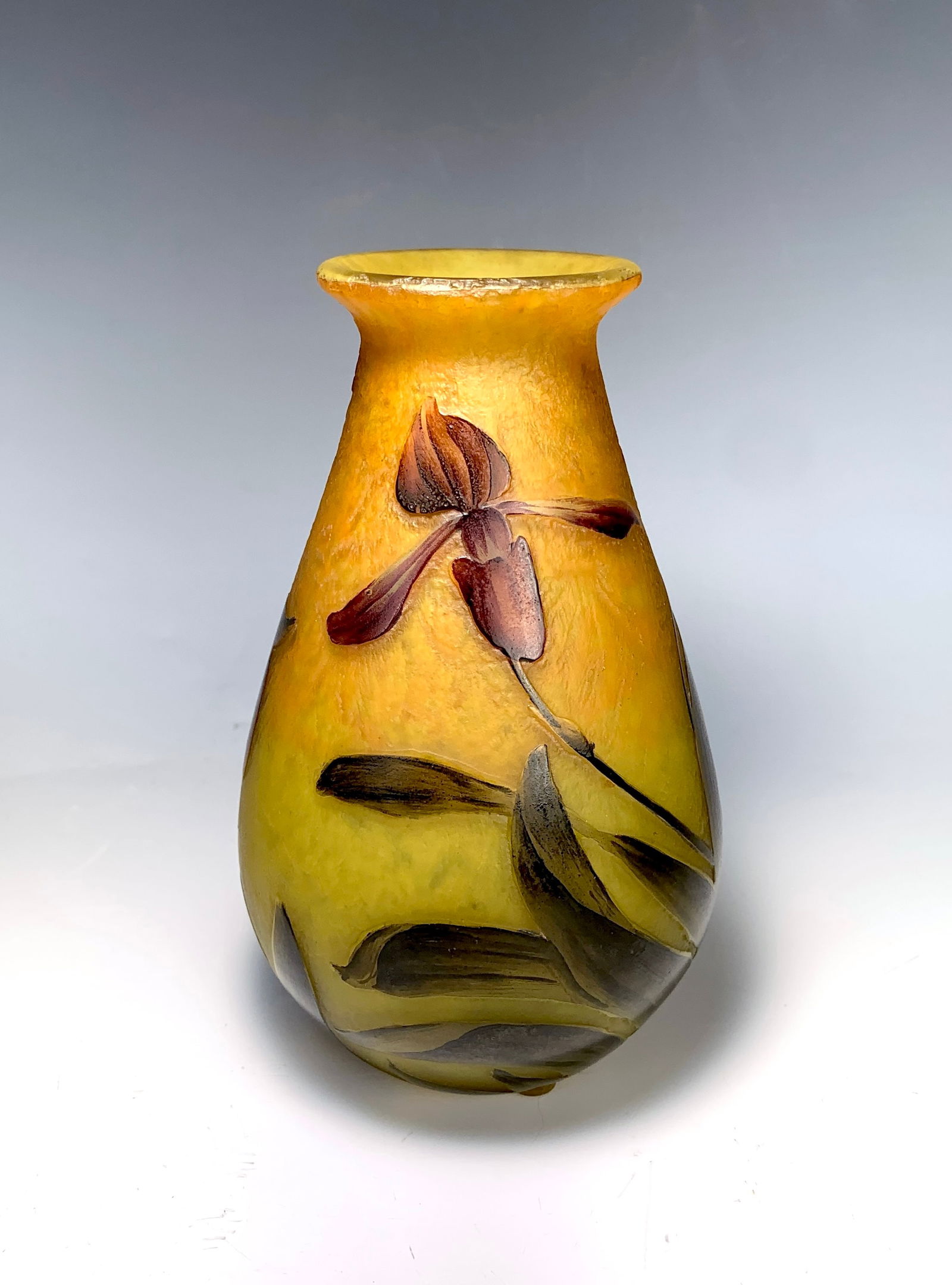Muller Fres Luneville Cameo Vase With Iris Flower (1 of 5)