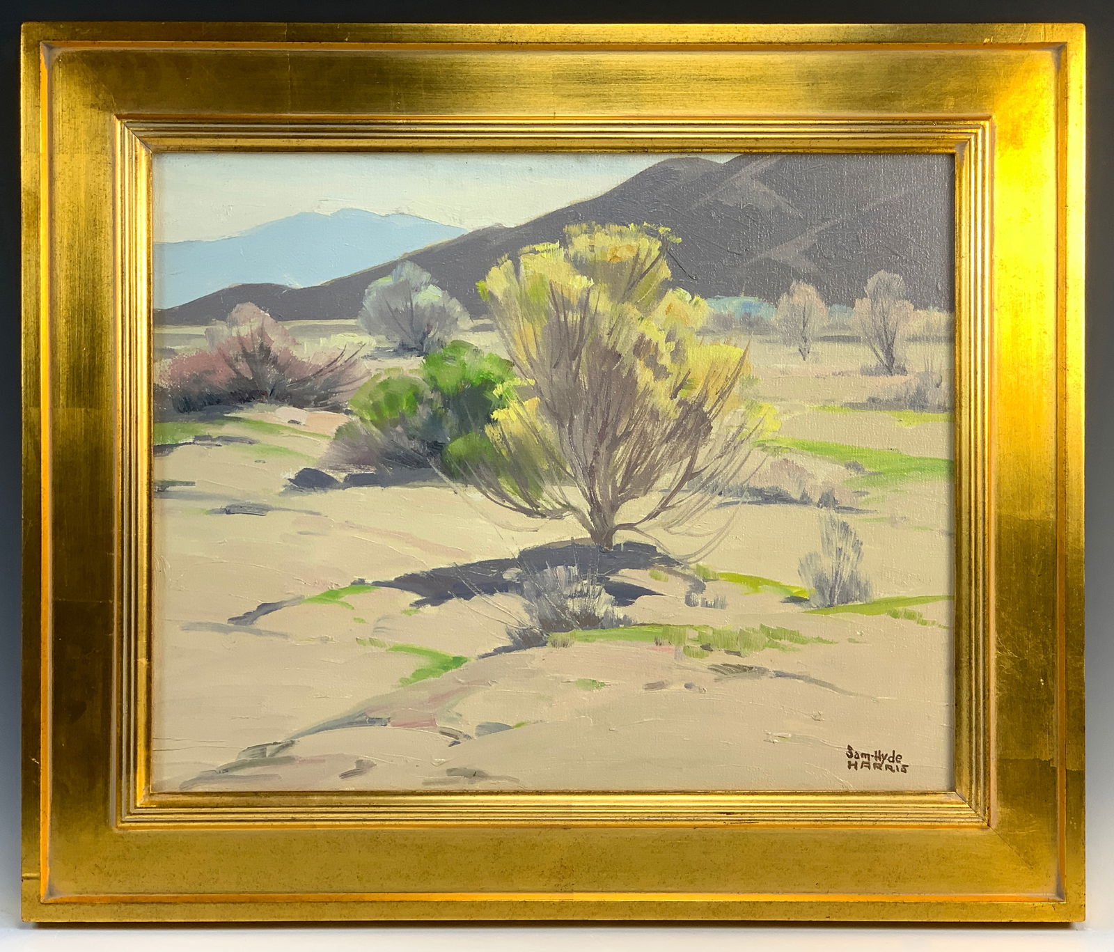 Sam Hyde Harris Nature's Garden Plein Air Painting: Sam Hyde Harris (CA, 1889-1977) Oil on canvas board depicting a desert landscape titled "Nature's Garden," marked on reverse along with the artist's estate stamp. Signed lower right and on the reverse