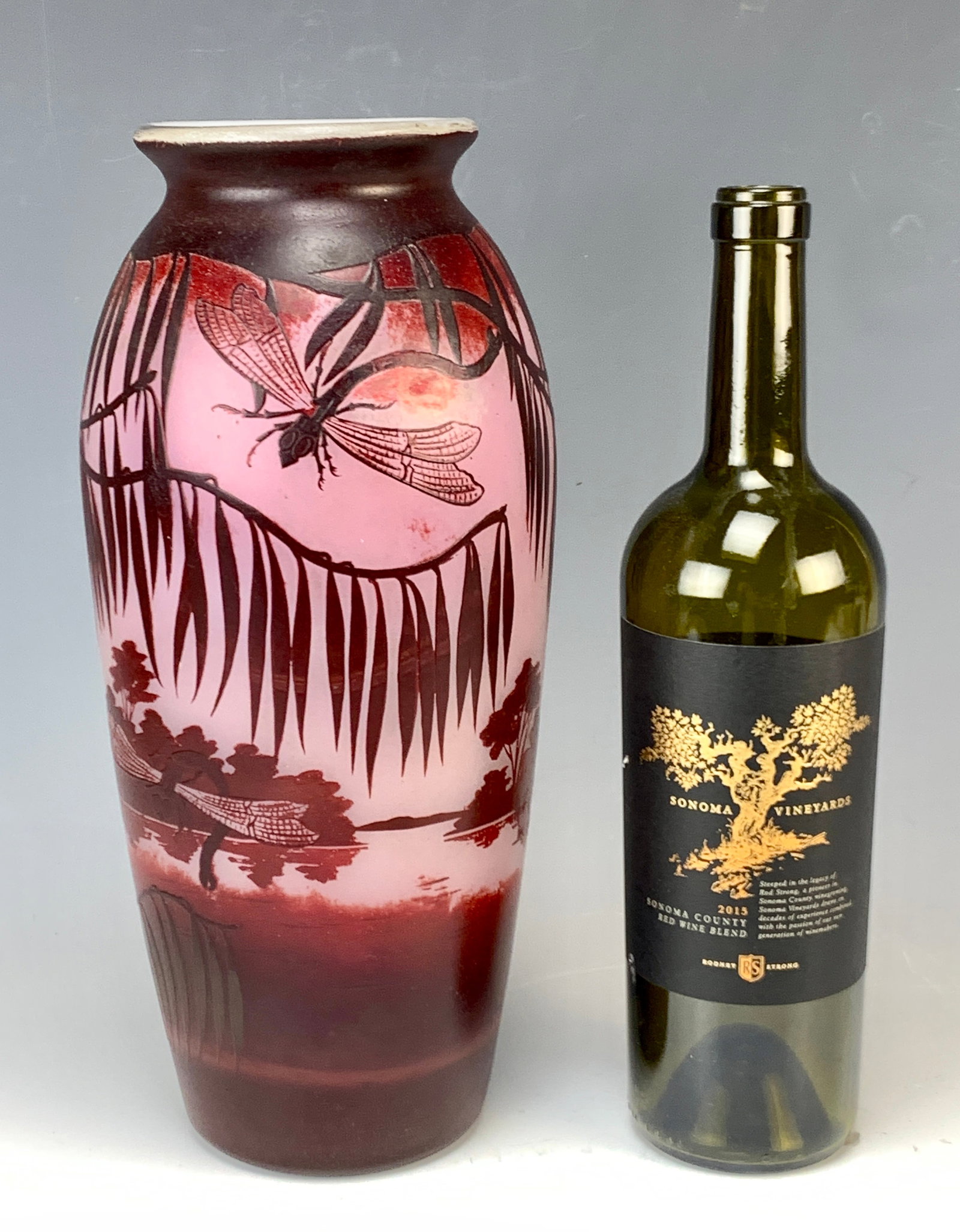 Muller Fres Dragonfly Cameo Art Glass Vase (1 of 8)