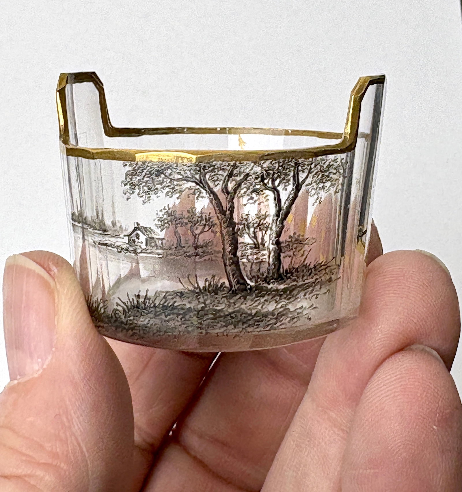 Daum Nancy Scenic Enameled Salt