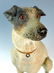 Austrian Terracotta Jack Russell Dog Figurine - 2