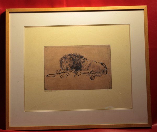Framed & Signed Rembrant Etching c1652 "A Lion Laying (1 of 8)