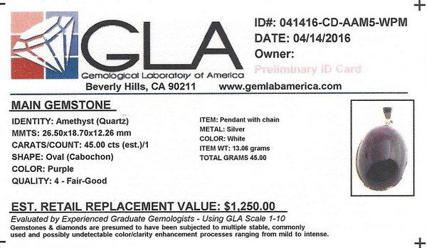 Certified GLA Amethyst Pendant w. Chain in S/S (1 of 1)