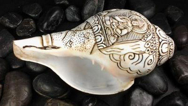 Ancient Rare Circa 1750 Sacred Tibetan Buddha Concha (1 of 3)