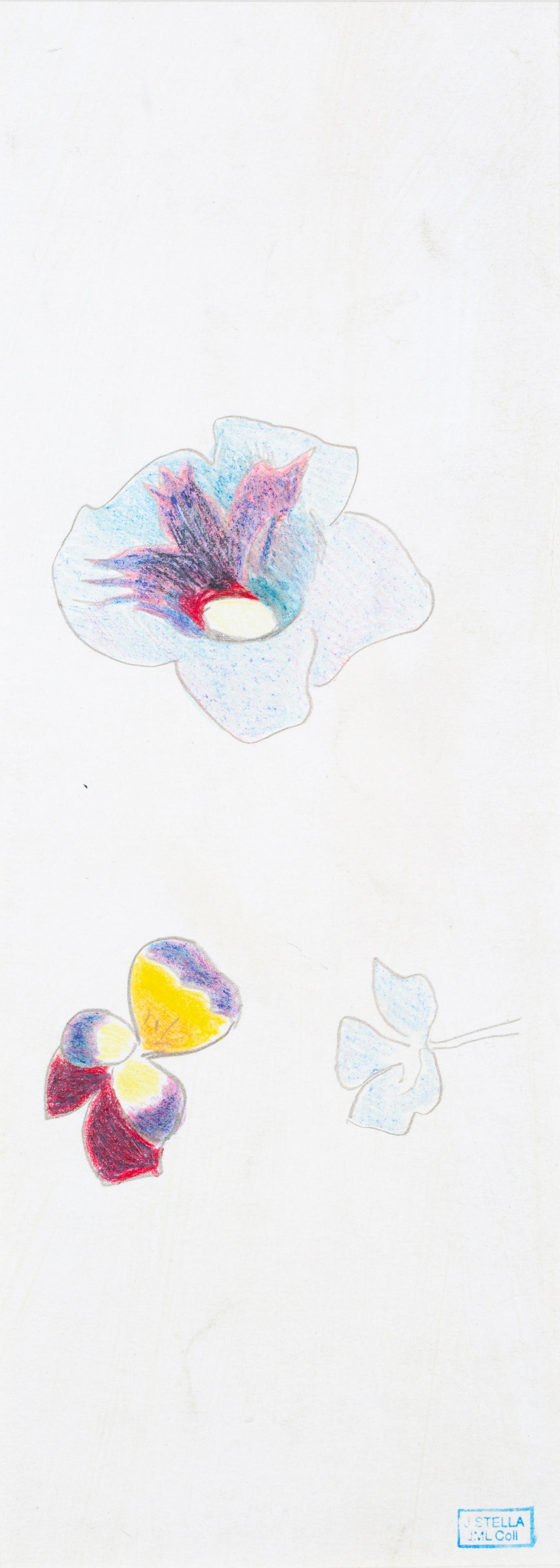JOSEPH STELLA (AMERICAN 1877-1946): JOSEPH STELLA (AMERICAN 1877-1946) Flowers silverpoint and crayon on prepared paper 24 x 9.5 cm (9 1/2 x 3 3/4 in.) bears "J.Stella/JML Coll" estate stamp lower right EXHIBITED Pensler Galleries, Wash