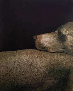 WILLIAM WEGMAN (AMERICAN B. 1943)