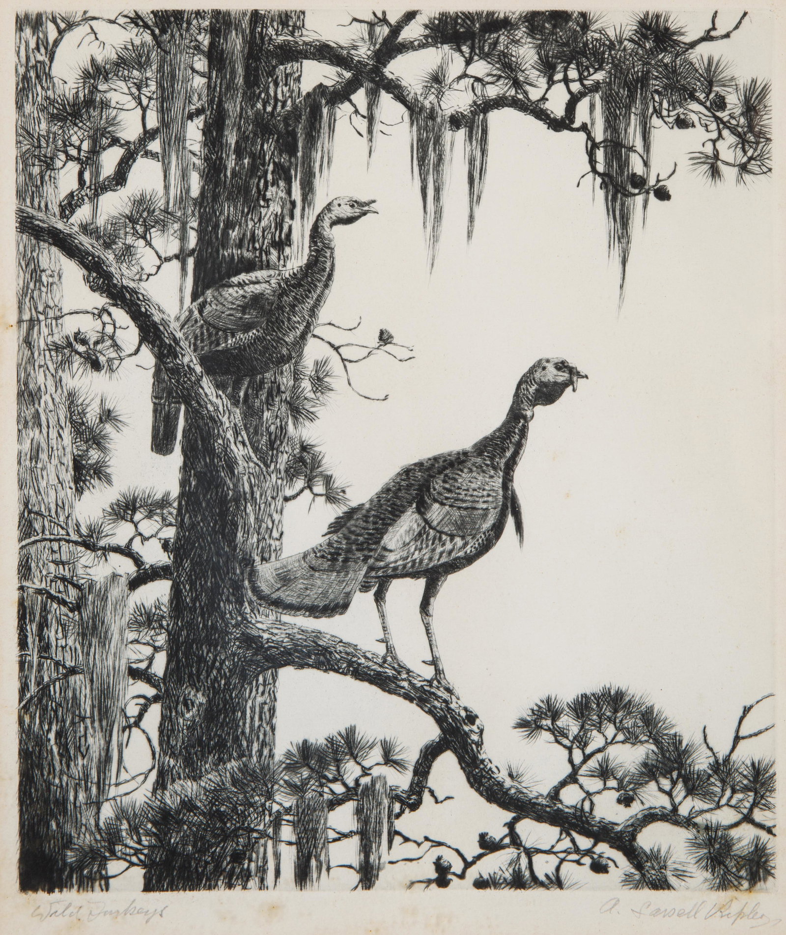 AIDEN LASSELL RIPLEY (AMERICAN 1896-1969) (1 of 5)