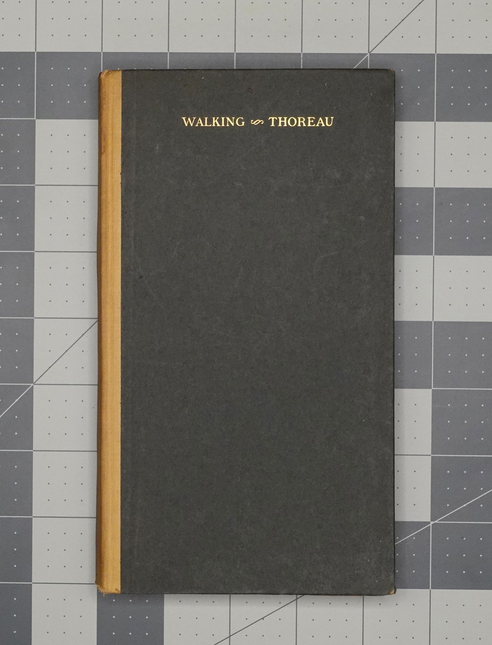 THOREAU, WALKING, 1914 (1 of 3)