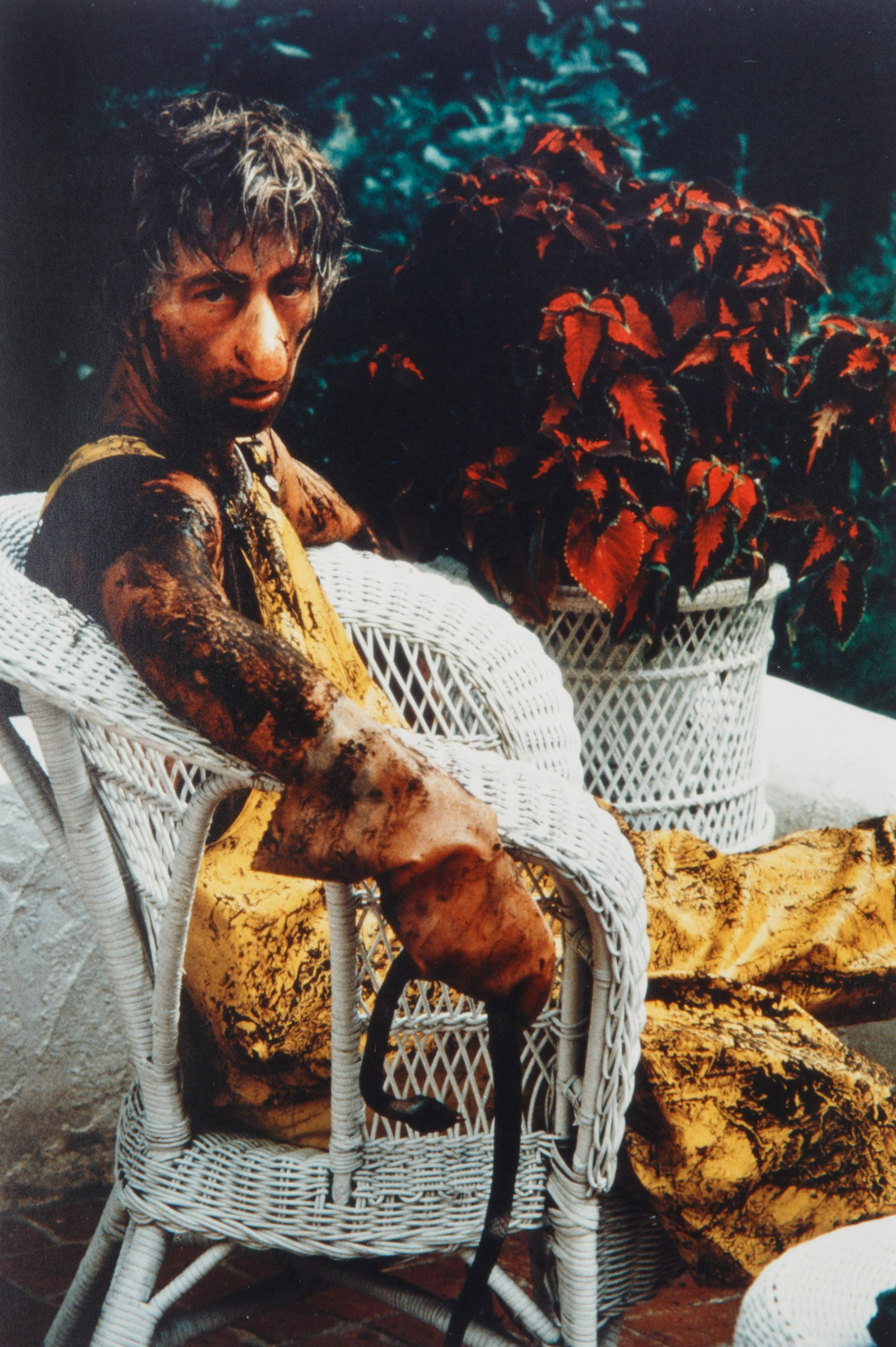 CINDY SHERMAN (AMERICAN B. 1954) (1 of 1)