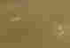 item-137009755=4