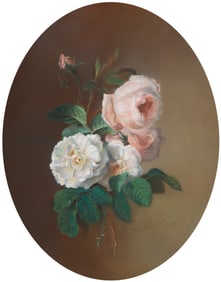 PIERRE JOSEPH REDOUTE (FRENCH 1759-1840)