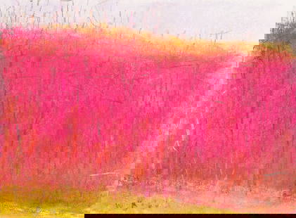 WOLF KAHN (GERMAN-AMERICAN 1927-2020): WOLF KAHN (GERMAN-AMERICAN 1927-2020) Magenta Tree Screen pastel on paper 23 x 30.5 cm (9 x12 in.) [sheet] framed dimensions: 39 x 46.5 cm (15 3/8 x 18 1/4 in.) signed lower left PROVENANCE Acquired d